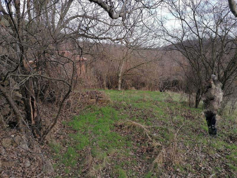 ������� ������ | Imot.bg � ����������� 5