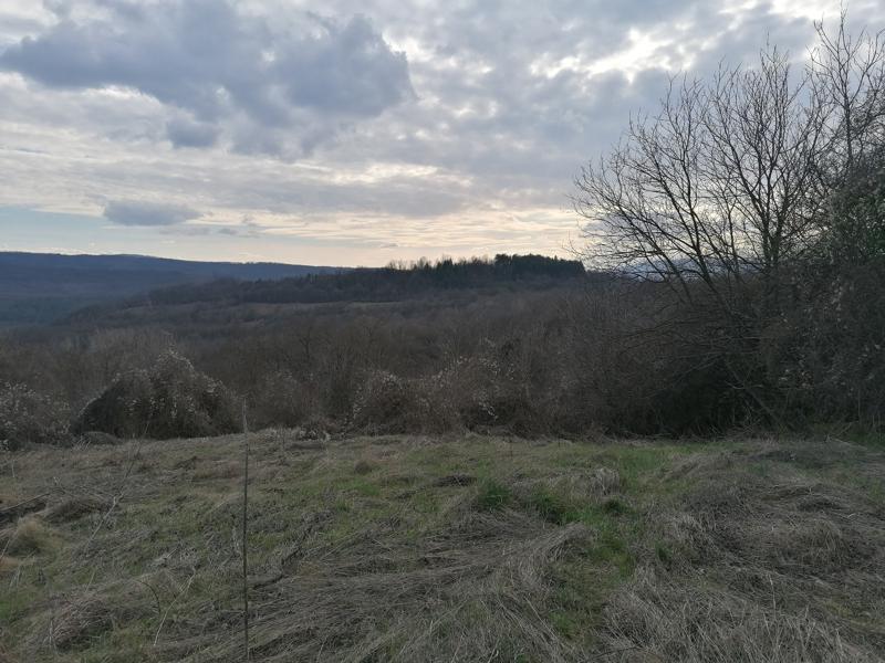 ������� ������ | Imot.bg � ����������� 6