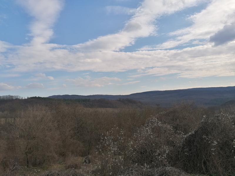 ������� ������ | Imot.bg � ����������� 8