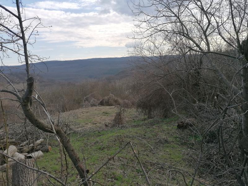 ������� ������ | Imot.bg � ����������� 2