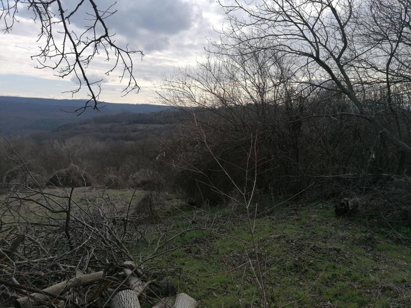 ������� ������ | Imot.bg � ����������� 4