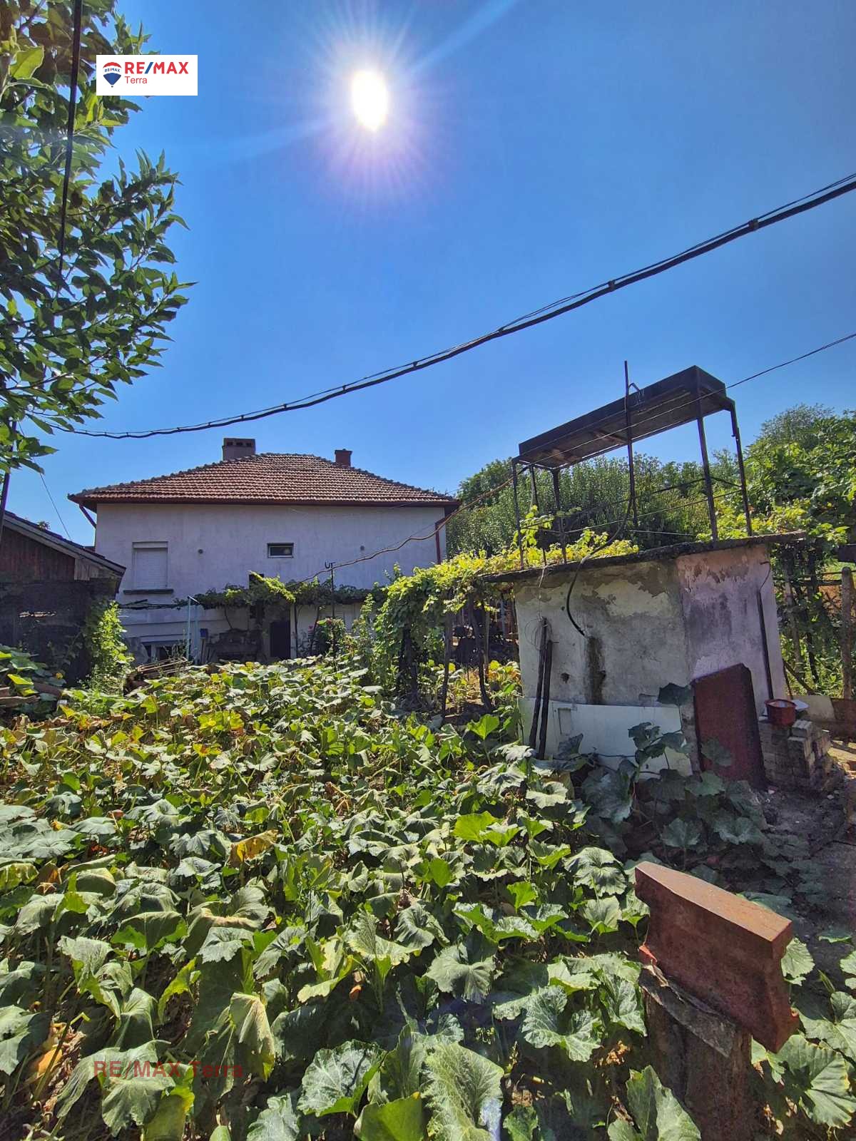 ������� ���� | Imot.bg � ����������� 12