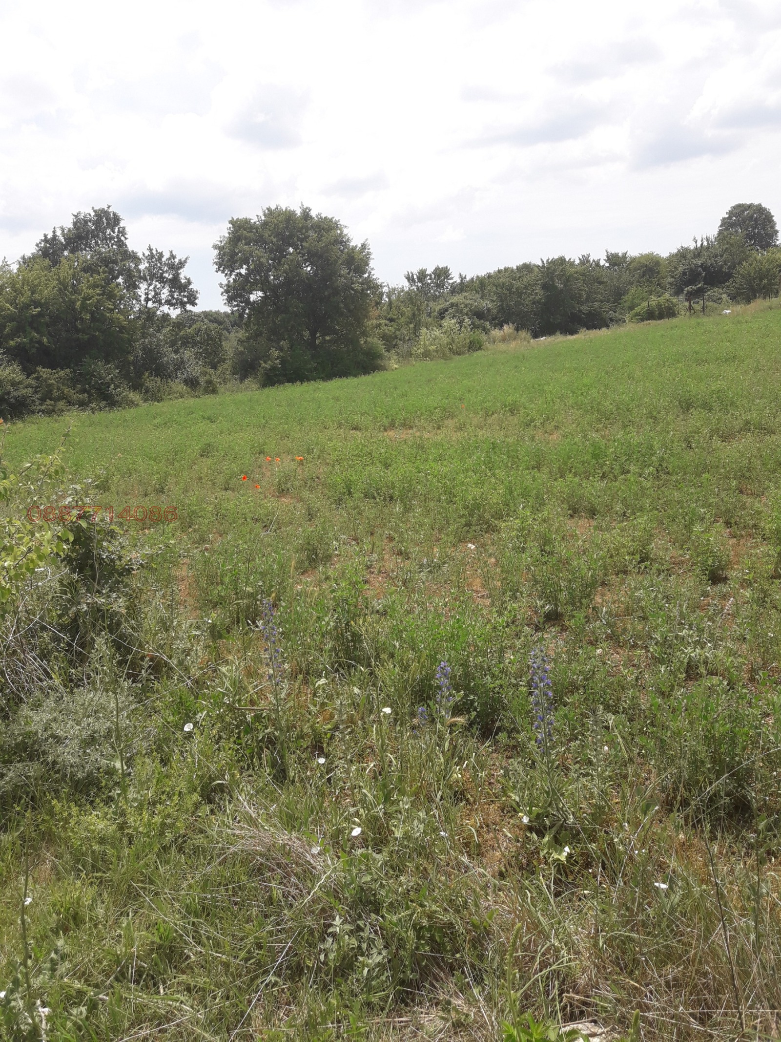 ������� ���������� ���� | Imot.bg � ����������� 1