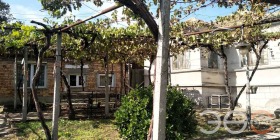 ������ ������� ����