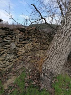 ������� ������ | Imot.bg � ����� ������ 3