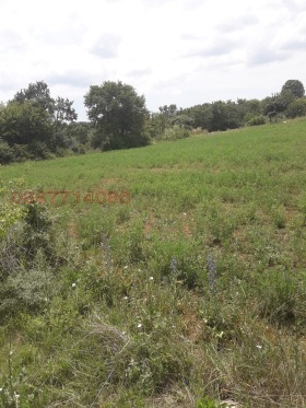 ����� ������� ���������� ����,�. ��������, ������ �����