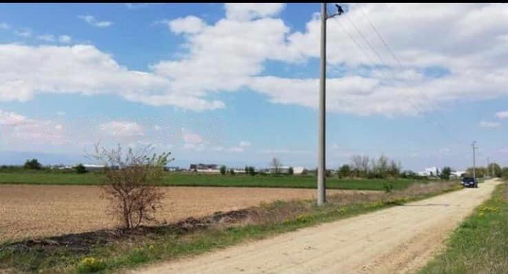 À vendre  Parcelle région Plovdiv , Troud , 8898 m² | 90212106