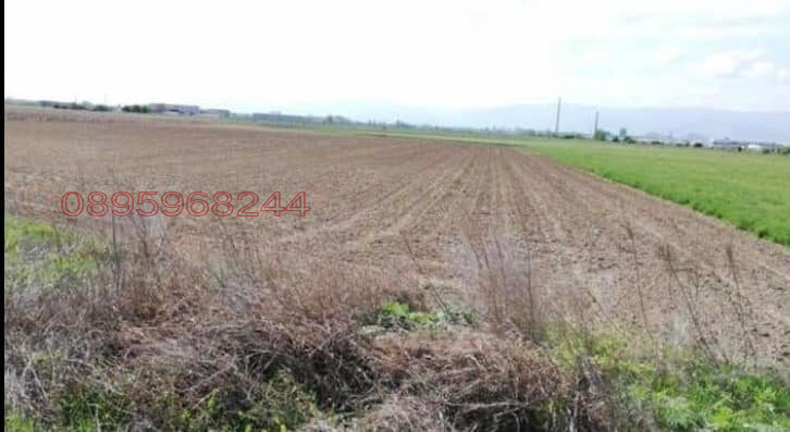 À vendre  Parcelle région Plovdiv , Troud , 8898 m² | 90212106 - image [5]