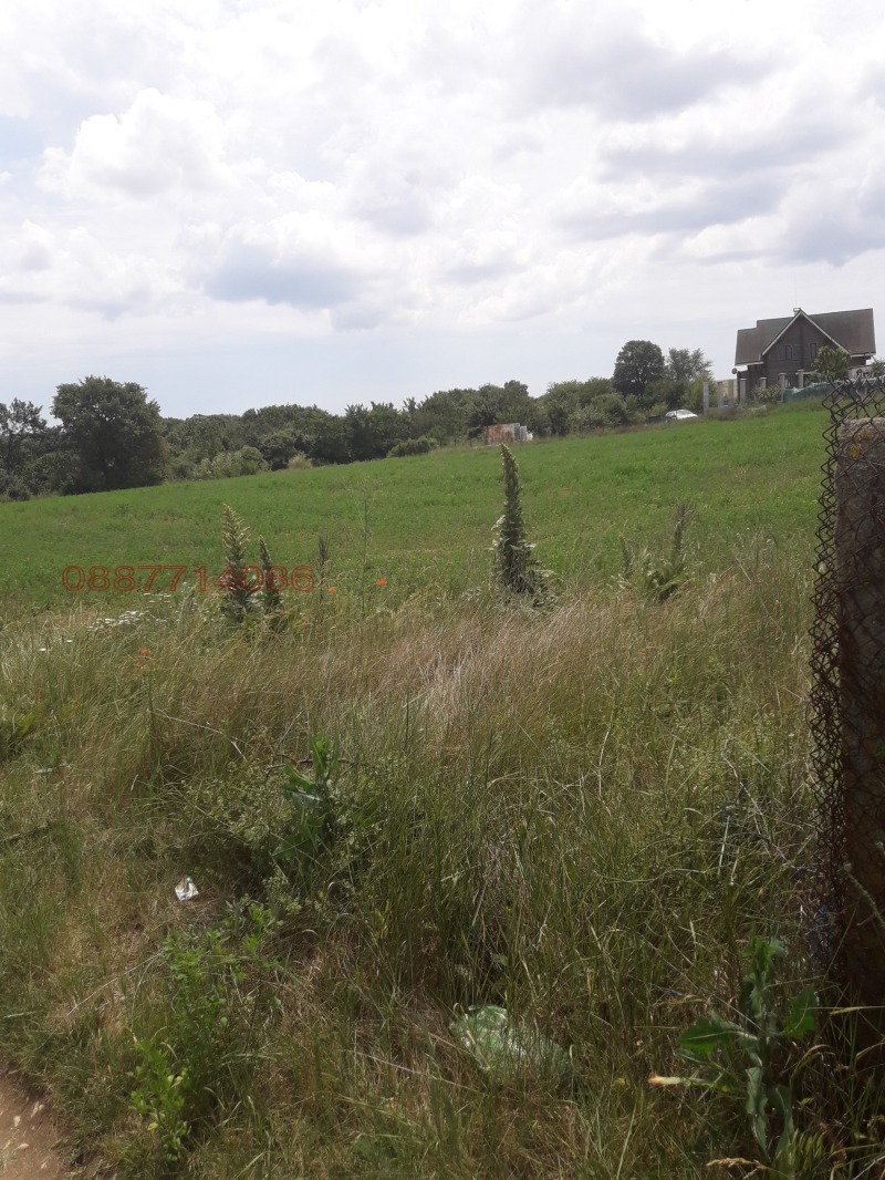 Продава ЗЕМЕДЕЛСКА ЗЕМЯ, с. Яребична, област Варна, снимка 2 - Земеделска земя - 52827774