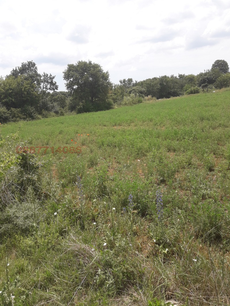 Продава ЗЕМЕДЕЛСКА ЗЕМЯ, с. Яребична, област Варна