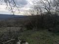 Продава ПАРЦЕЛ, с. Горно Павликене, област Ловеч, снимка 4