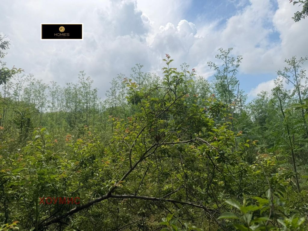 ������� ���� | Imot.bg � ����������� 10