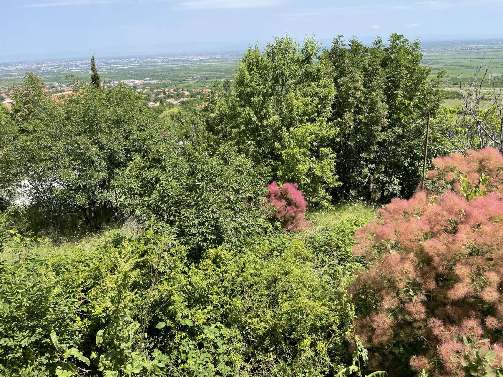 ������� ������ | Imot.bg � ����������� 3