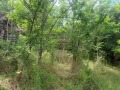 Продава КЪЩА, с. Красен, област Добрич, снимка 3
