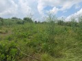Продава КЪЩА, с. Красен, област Добрич, снимка 4
