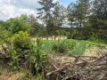 Продава КЪЩА, с. Красен, област Добрич, снимка 1