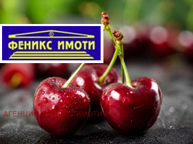 Продава  Земеделска земя, с. Горна Гращица