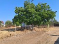 Продава КЪЩА, с. Сухозем, област Пловдив, снимка 8