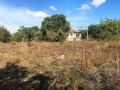 Продава ПАРЦЕЛ, област Варна, с. Аврен • 18000 € • 83918264 — Holmes.bg