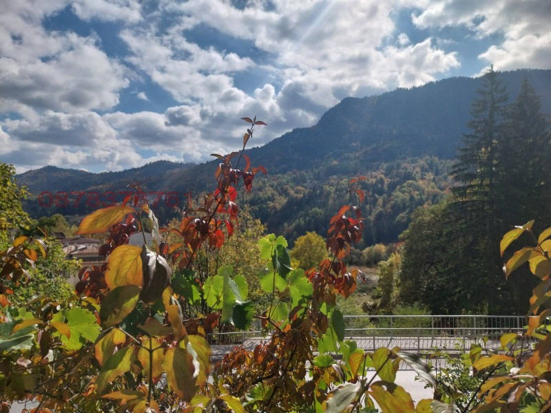 Продава КЪЩА, гр. Смолян, Каптажа, снимка 5 - Къщи - 52951931