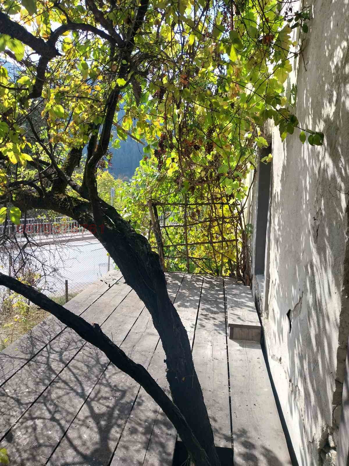Продава КЪЩА, гр. Смолян, Каптажа, снимка 2 - Къщи - 55072927