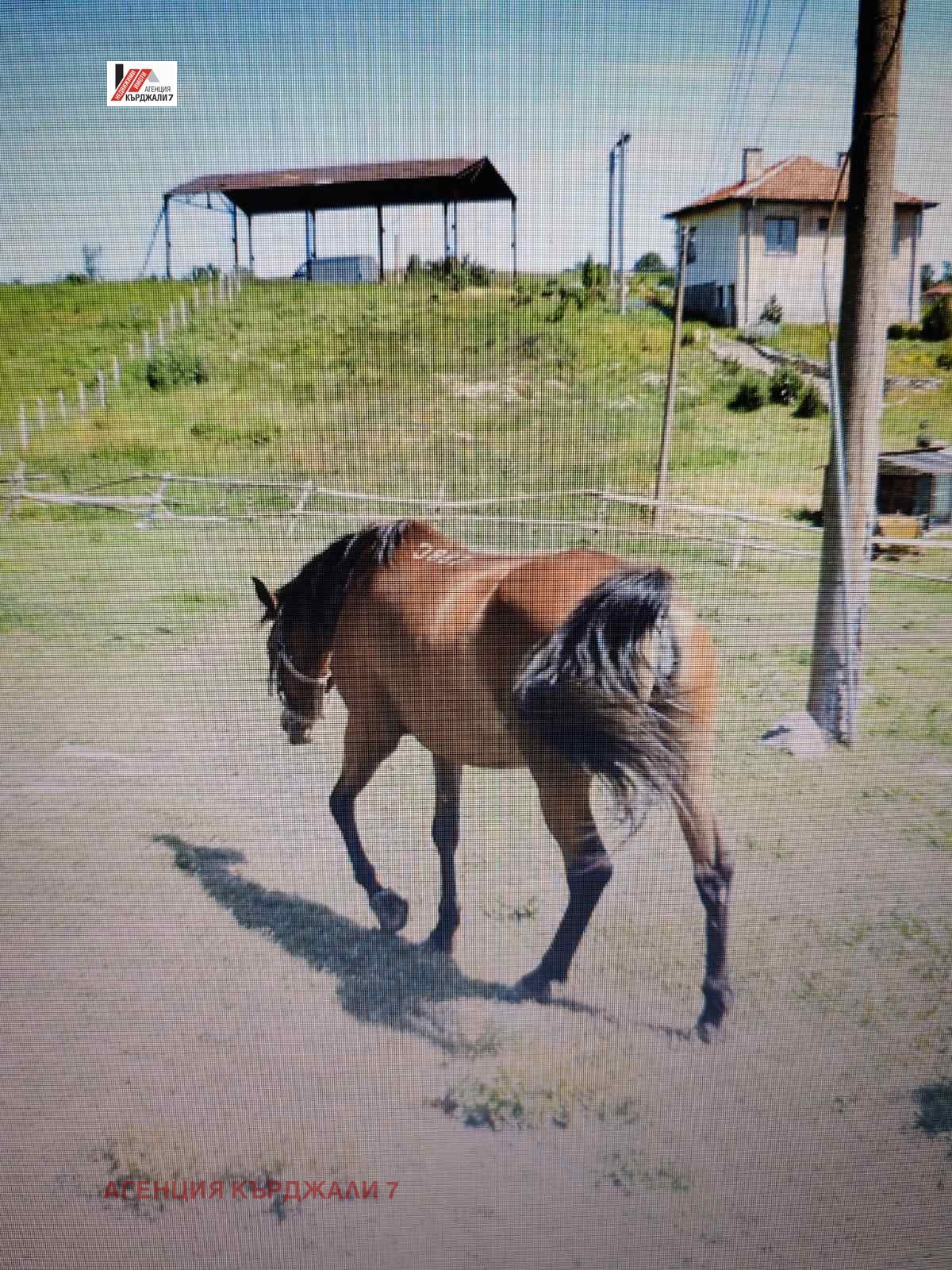 ������� ����. ��������� | Imot.bg � ����������� 5