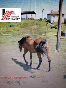 ������� ����. ��������� | Imot.bg � ����� ������ 5