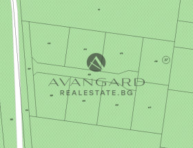 ����� ������� ������,�. �������, ������ �������