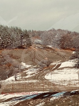 ����� ������� ������,��. �������, ������ �������