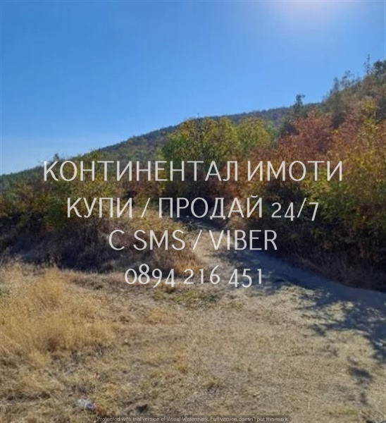 Till salu  Komplott region Plovdiv , Brestovica , 950 kvm | 60572362