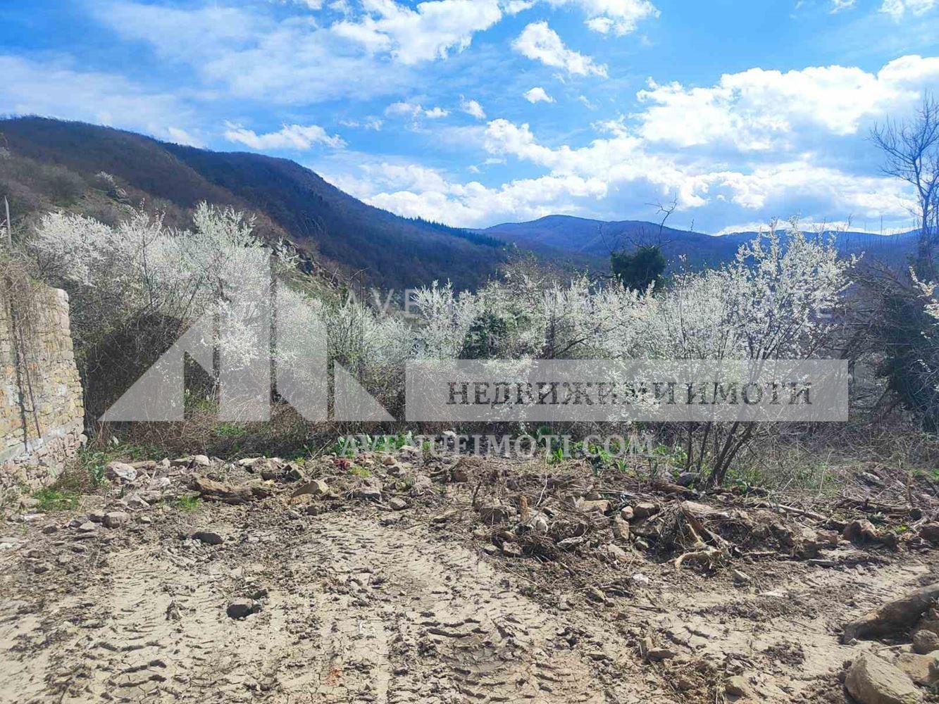 Продава ПАРЦЕЛ, с. Жребичко, област Пазарджик, снимка 5 - Парцели - 54130860