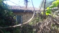Продава КЪЩА, с. Ягнило, област Варна, снимка 16