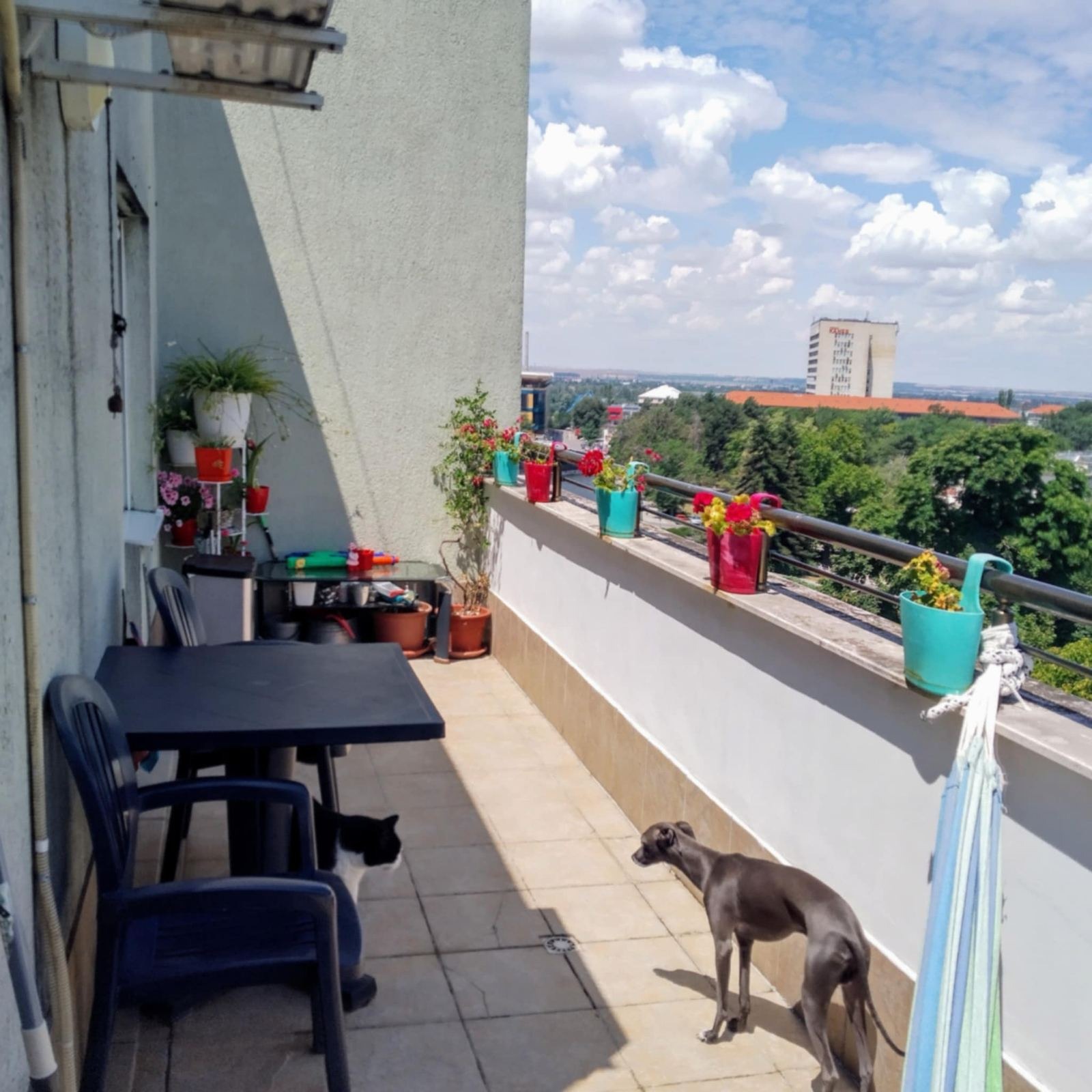 ������� 2-����� | Imot.bg � ����������� 6