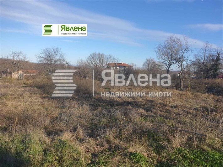 Продава ПАРЦЕЛ, с. Велика, област Бургас, снимка 4 - Парцели - 55138641