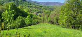 Handlung Mijkowzi, region Weliko Tarnowo 1