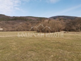 Plott Mijkovtsi, region Veliko Tarnovo 4