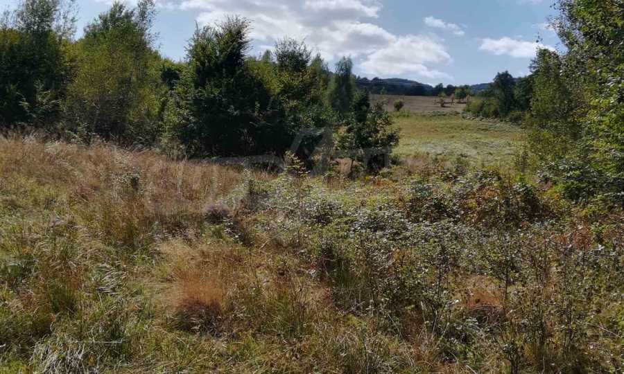 ������� ������ | Imot.bg � ����������� 17