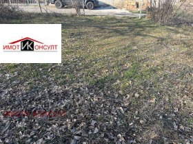 Plot Samovodene, region Veliko Tarnovo 4