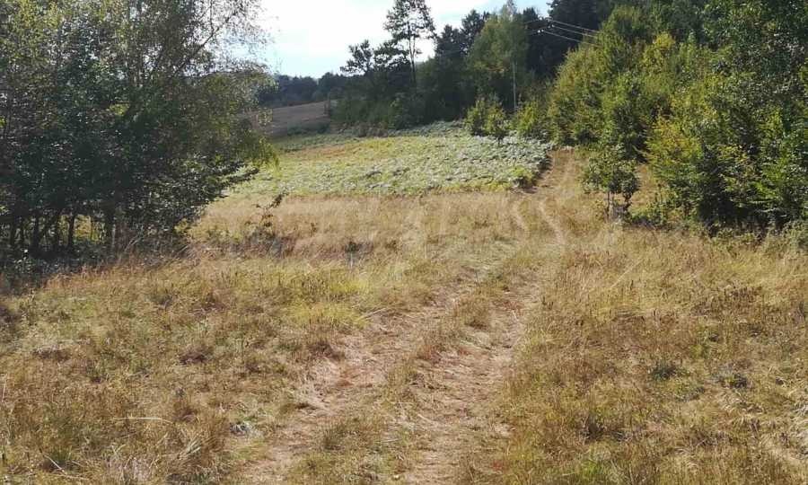 Продава ПАРЦЕЛ, с. Рибарица, област Ловеч, снимка 3 - Парцели - 53789450