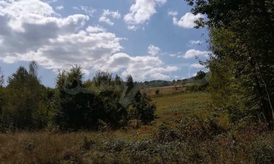 Продава ПАРЦЕЛ, с. Рибарица, област Ловеч, снимка 5 - Парцели - 53789450