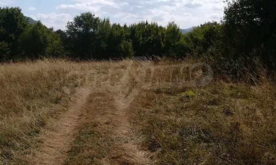 Продава ПАРЦЕЛ, с. Рибарица, област Ловеч, снимка 8 - Парцели - 53789450