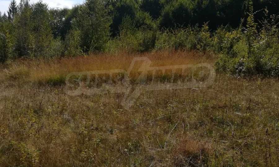 Продава ПАРЦЕЛ, с. Рибарица, област Ловеч, снимка 14 - Парцели - 53789450