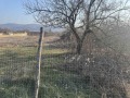 Продава ПАРЦЕЛ, с. Самоводене, област Велико Търново, снимка 1