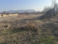 Продава ПАРЦЕЛ, област Велико Търново, с. Самоводене • 30000 € • 91396331 — Holmes.bg