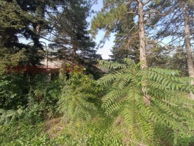 ������� ������ | Imot.bg � ����� ������ 11