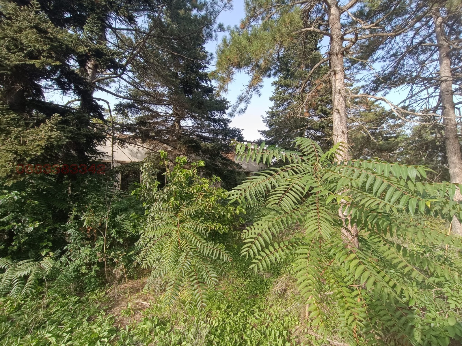 Продава ПАРЦЕЛ, с. Сърнино, област Добрич, снимка 11 - Парцели - 55435783