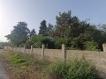 Продава  Парцел област Добрич , с. Сърнино , 4470 кв.м | 96909120 - изображение [6]