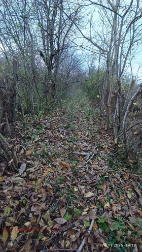 ������� ������ | Imot.bg � ����� ������ 9