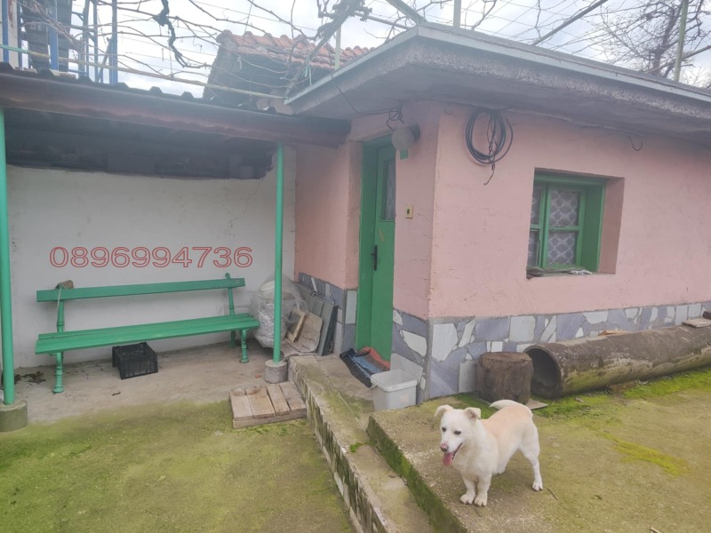 Продава КЪЩА, с. Дебръщица, област Пазарджик, снимка 6 - Къщи - 53343975