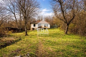 ������ ������� ����